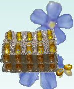Omega 3, 6 & 9 Oils in Capsules